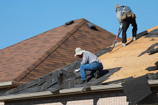 Steel Roofing in Royalton, IL